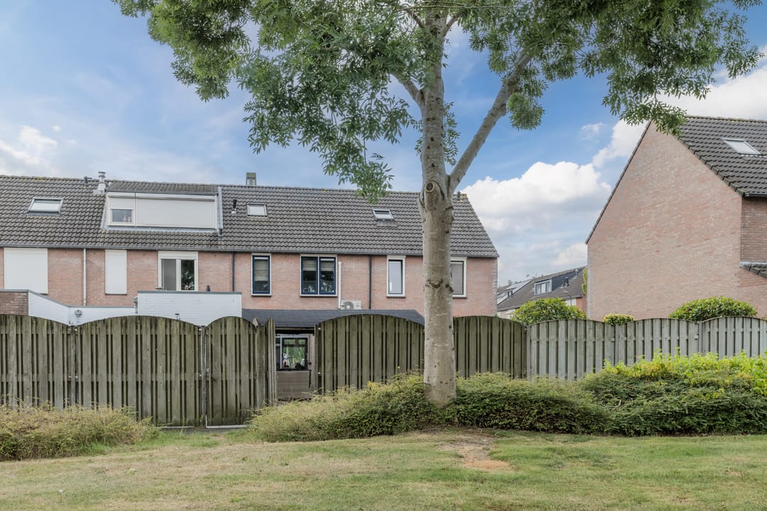 Foto 41 van Zanglijster 117