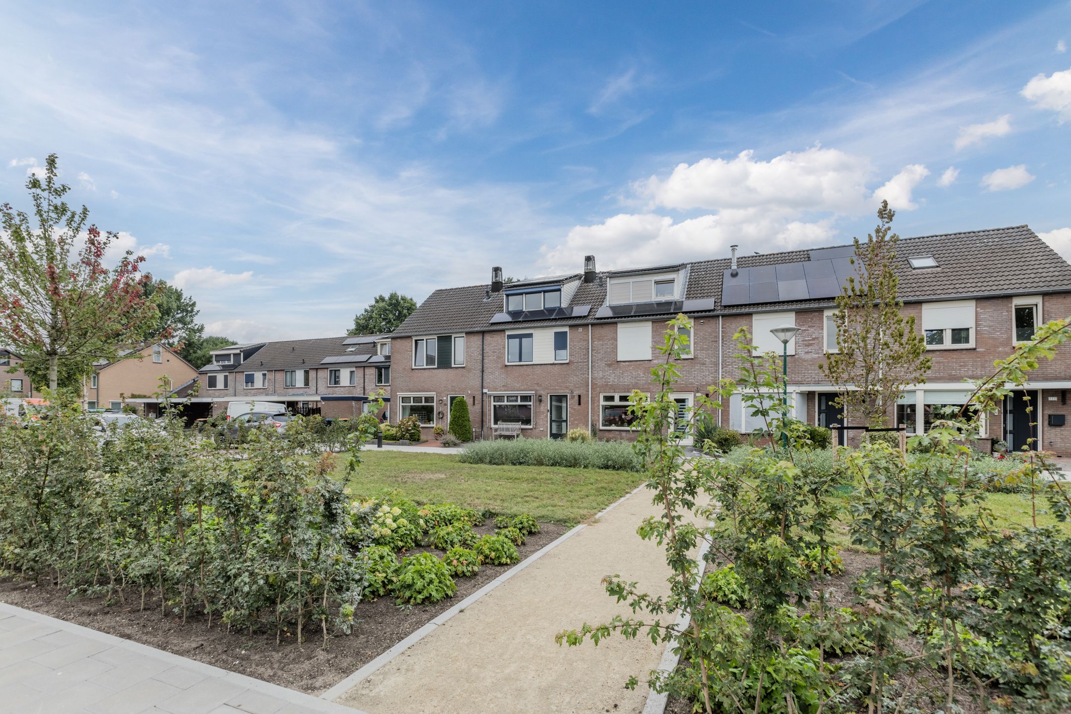 Foto 42 van Zanglijster 117