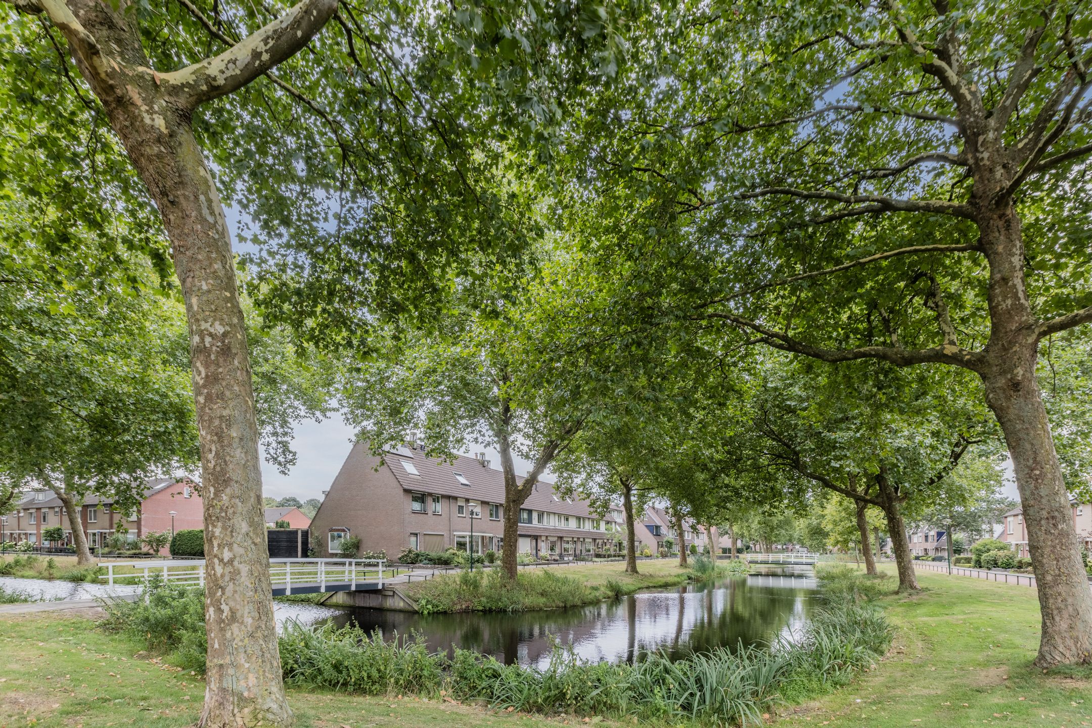 Foto 45 van Zanglijster 117