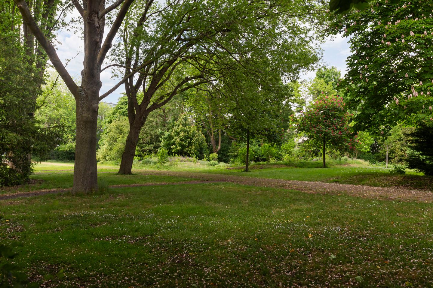 Foto 34 van Tafelbergdreef 154