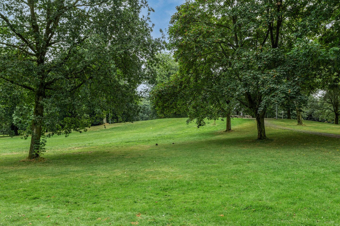 Foto 40 van Tafelbergdreef 154