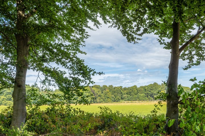 Foto 39 van Kastanjelaan 3-B