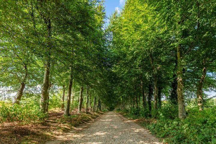 Foto 40 van Kastanjelaan 3-B