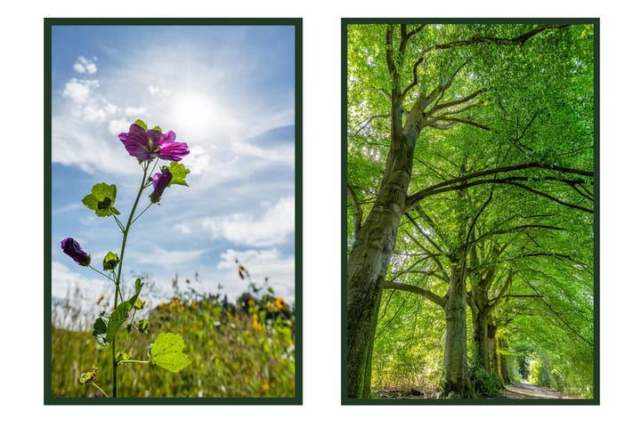 Foto 42 van Kastanjelaan 3-B