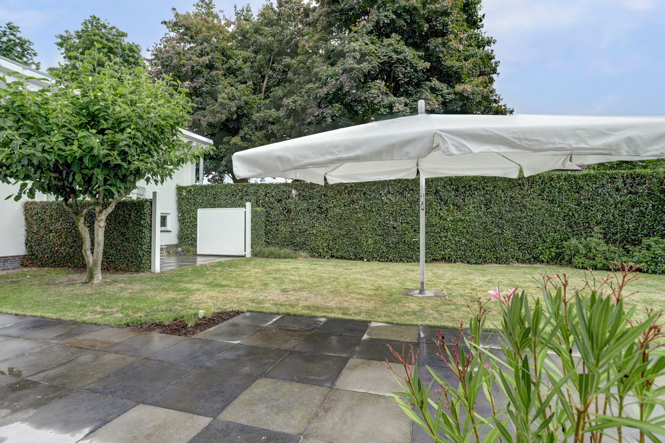 Photo 54 of Boschovenseweg 62