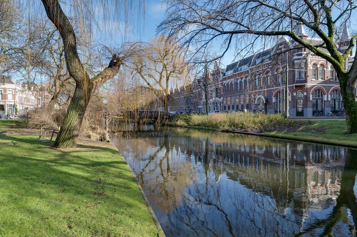 Foto 20 van Provenierssingel 24-B