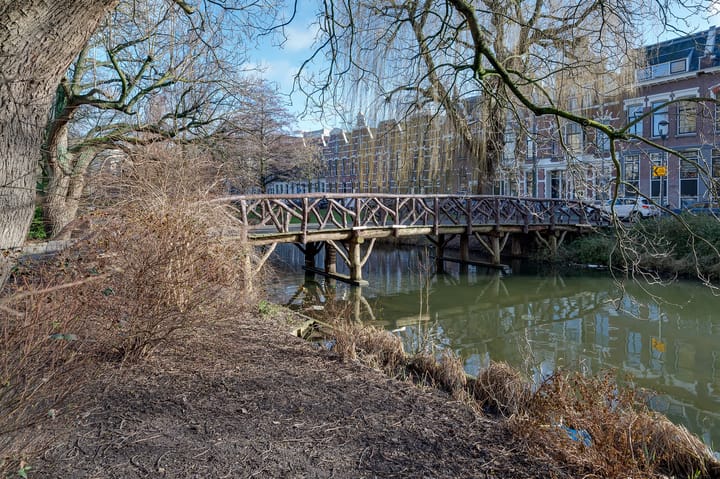 Foto 21 van Provenierssingel 24-B