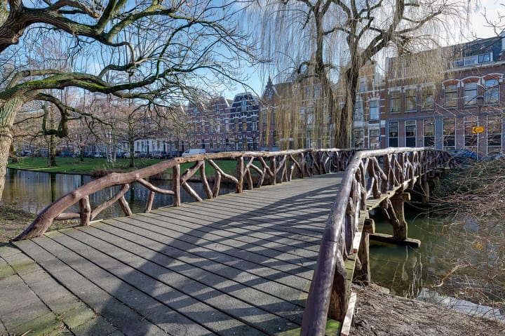 Foto 22 van Provenierssingel 24-B