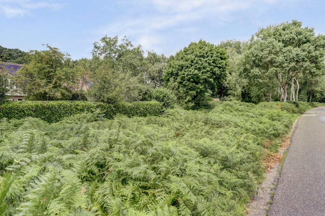 Photo 67 of Boschovenseweg 62