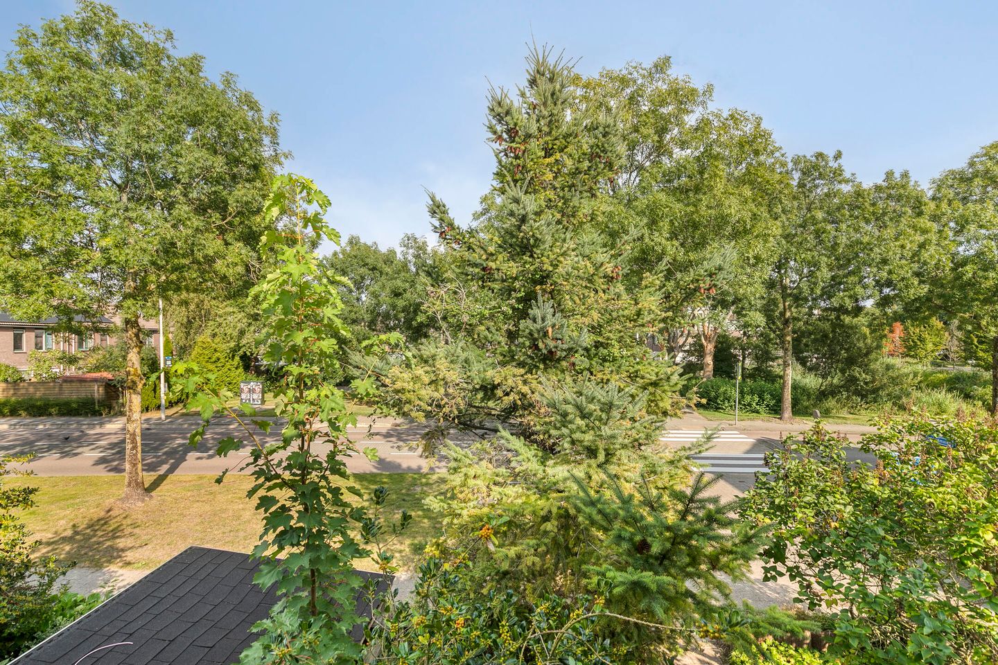 Foto 40 van Verfmolen 18