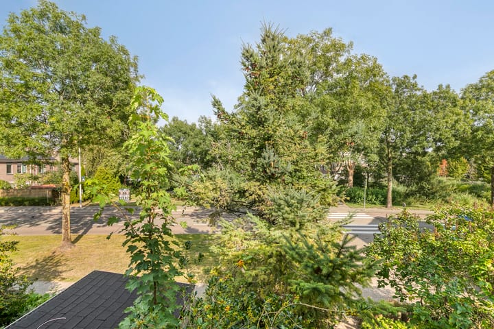 Foto 40 van Verfmolen 18