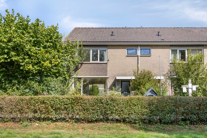 Foto 1 van Fluitekruid 11