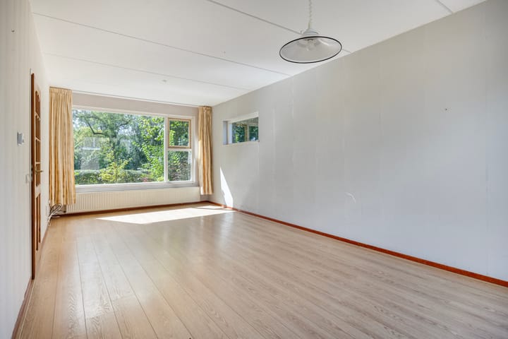 Foto 3 van Fluitekruid 11