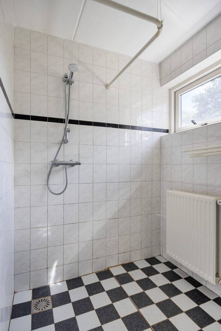 Foto 5 van Fluitekruid 11