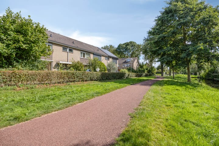 Foto 7 van Fluitekruid 11