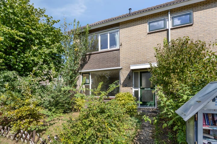 Foto 8 van Fluitekruid 11