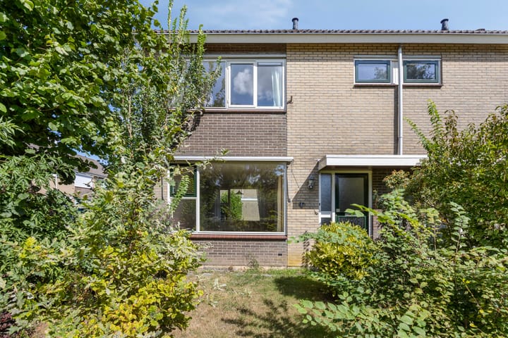 Foto 9 van Fluitekruid 11