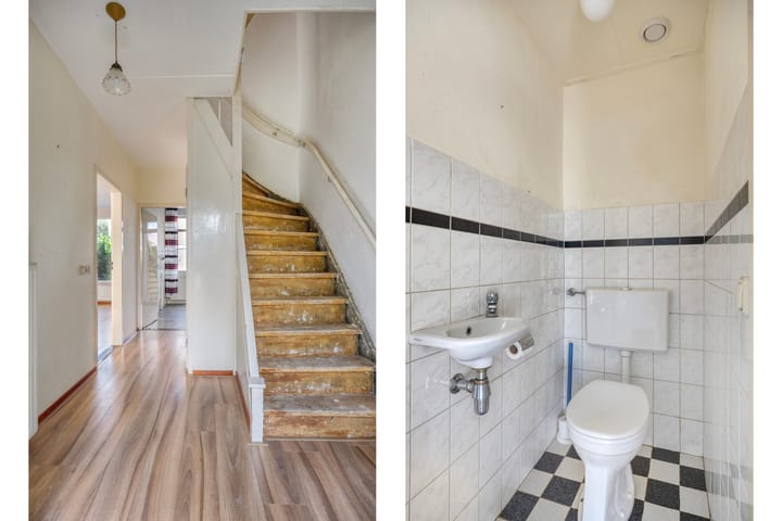 Foto 10 van Fluitekruid 11