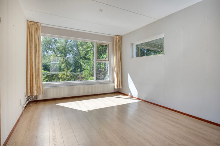 Foto 11 van Fluitekruid 11