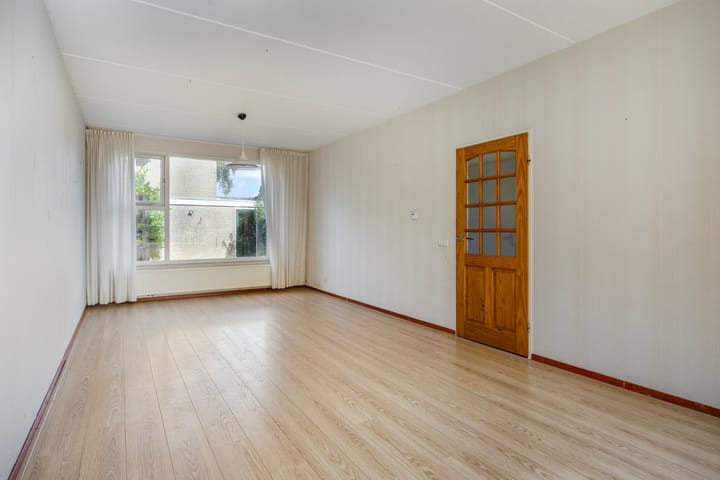 Foto 12 van Fluitekruid 11