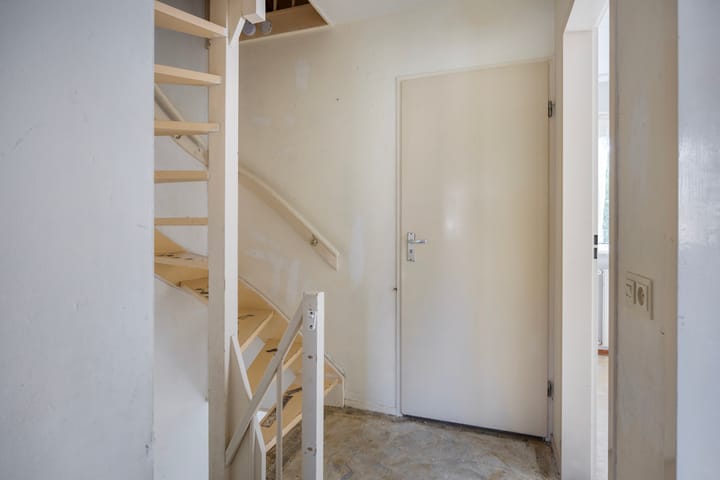 Foto 21 van Fluitekruid 11