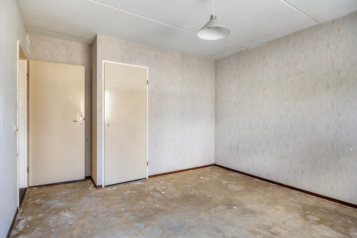 Foto 23 van Fluitekruid 11