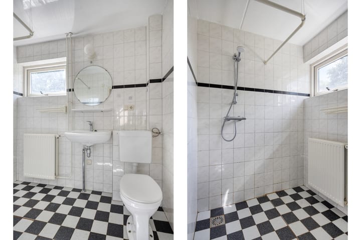 Foto 24 van Fluitekruid 11