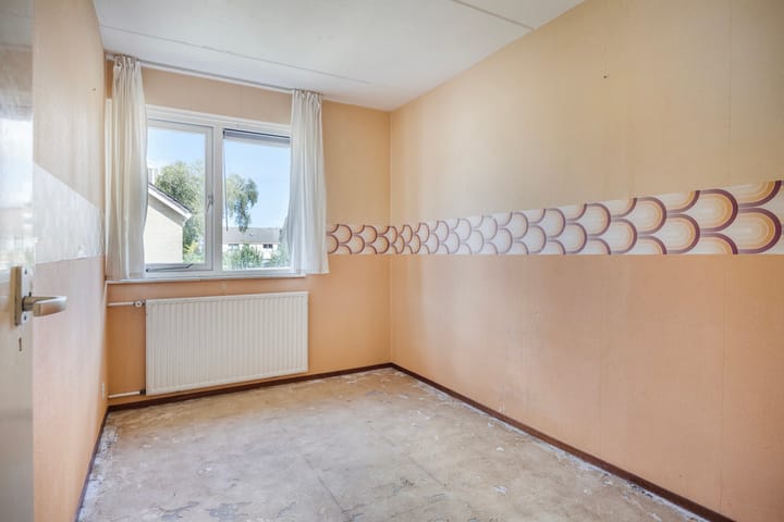 Foto 26 van Fluitekruid 11