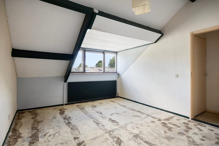 Foto 29 van Fluitekruid 11