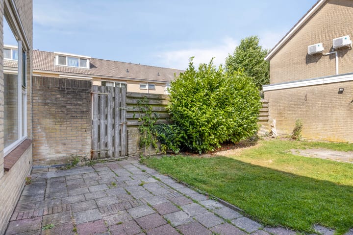 Foto 31 van Fluitekruid 11