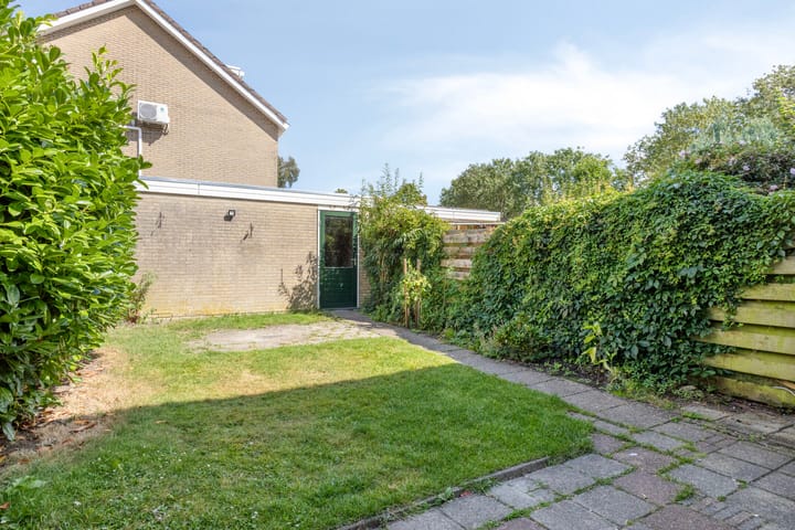 Foto 32 van Fluitekruid 11