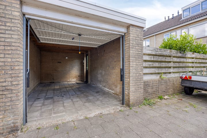 Foto 35 van Fluitekruid 11