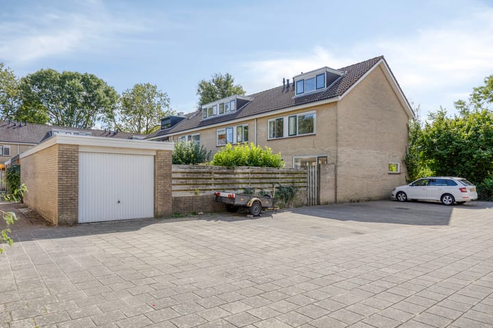 Foto 34 van Fluitekruid 11