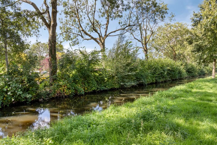 Foto 36 van Fluitekruid 11