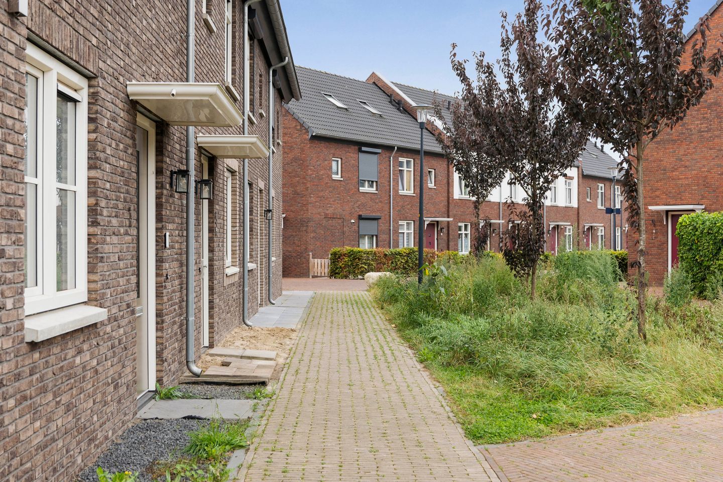 Foto 25 van Lina Roetert Steenbruggenstraat 5