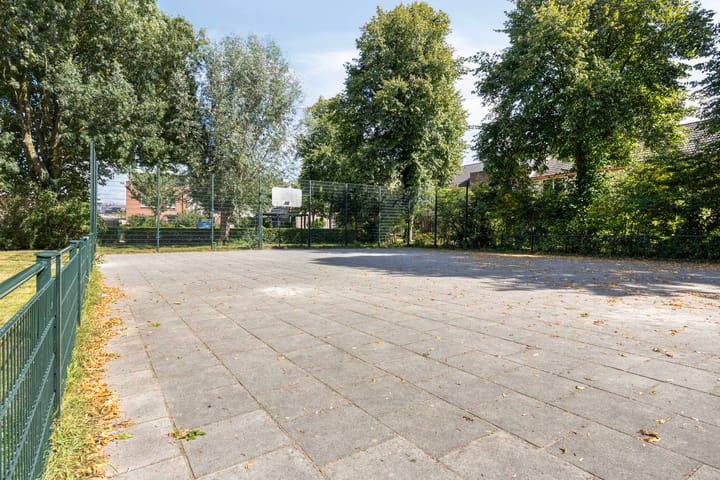 Foto 37 van Fluitekruid 11