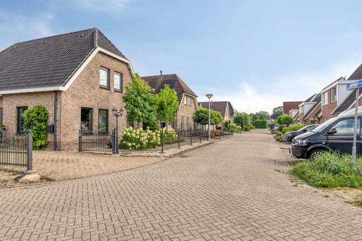 Foto 2 van Vroegeling 17