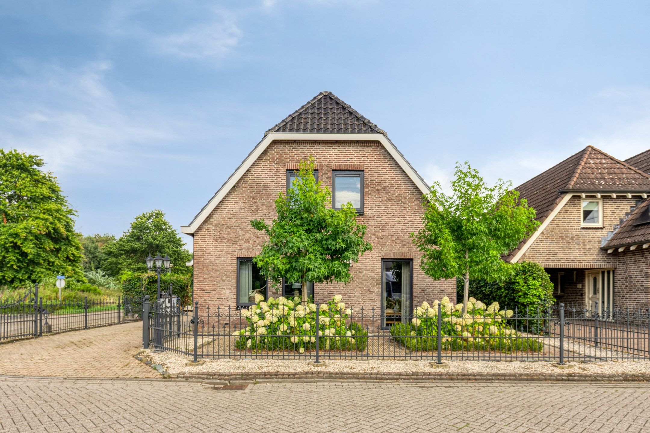 Photo 39 of Vroegeling 17