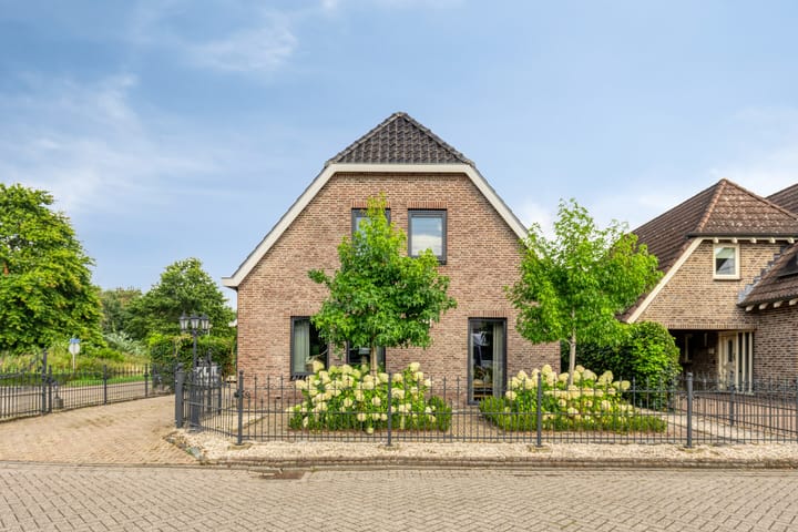 Foto 3 van Vroegeling 17