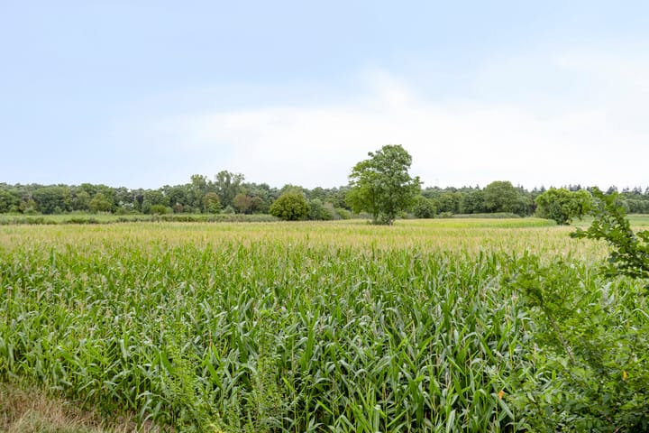 Foto 54 van Kerktiend 28