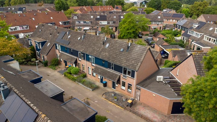 Foto 30 van Pijlstaart 2