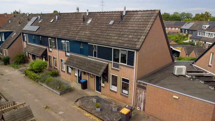 Foto 31 van Pijlstaart 2