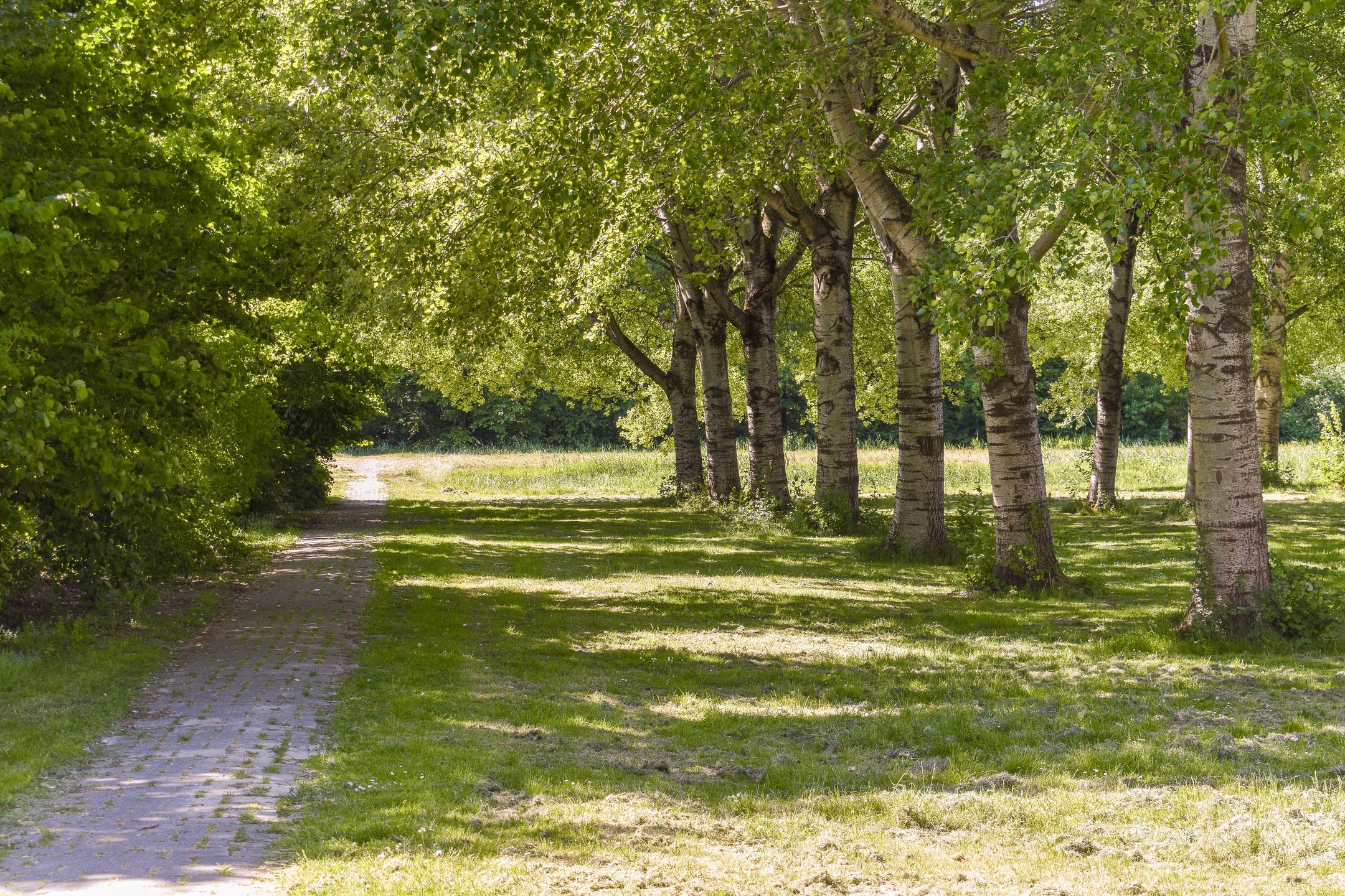 Foto 30 van Glenn Millerweg 129