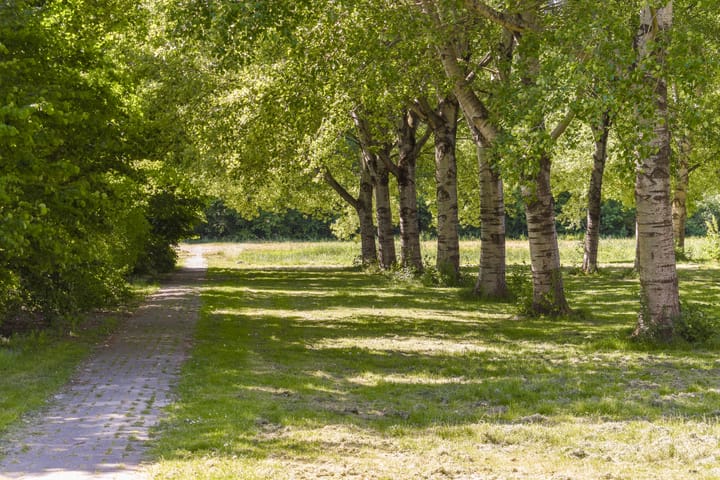 Foto 30 van Glenn Millerweg 129