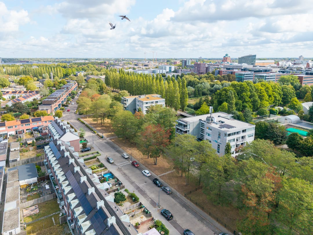 Foto 28 van Schaapsveldje 94