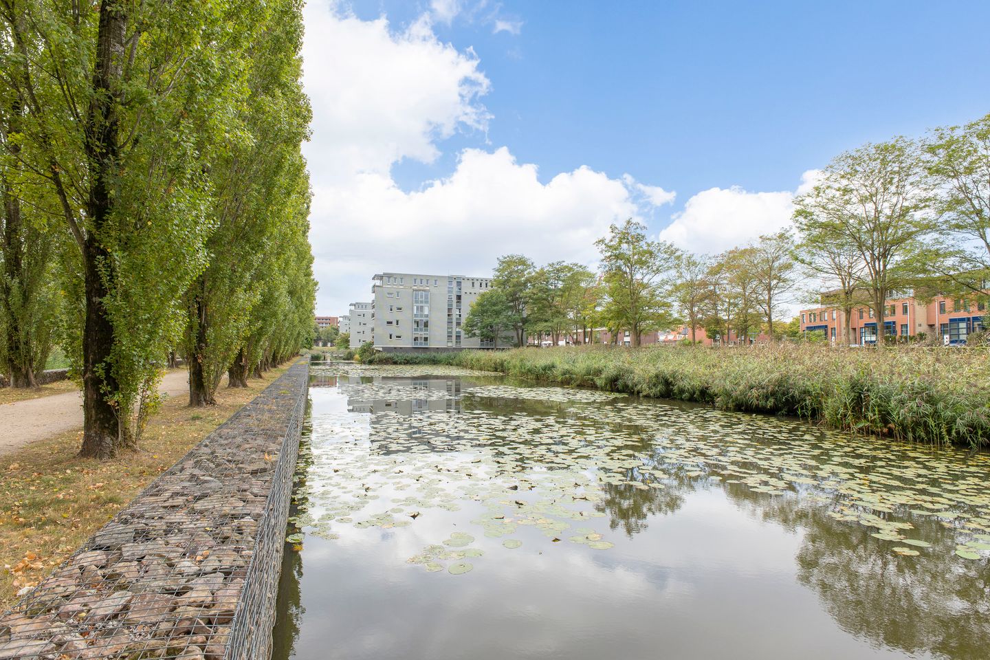 Foto 34 van Schaapsveldje 94