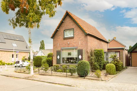 undefined main image