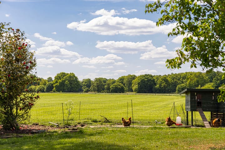 Photo 33 of Borculoseweg 30