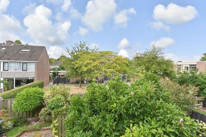 Foto 36 van Fivelingo 120