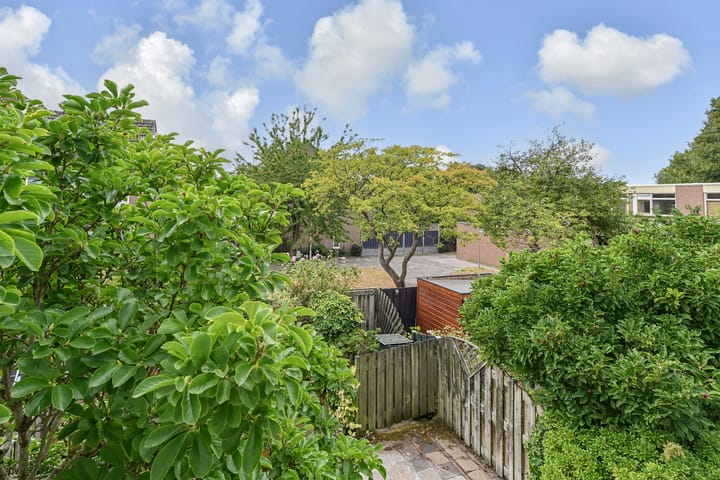 Foto 40 van Fivelingo 120